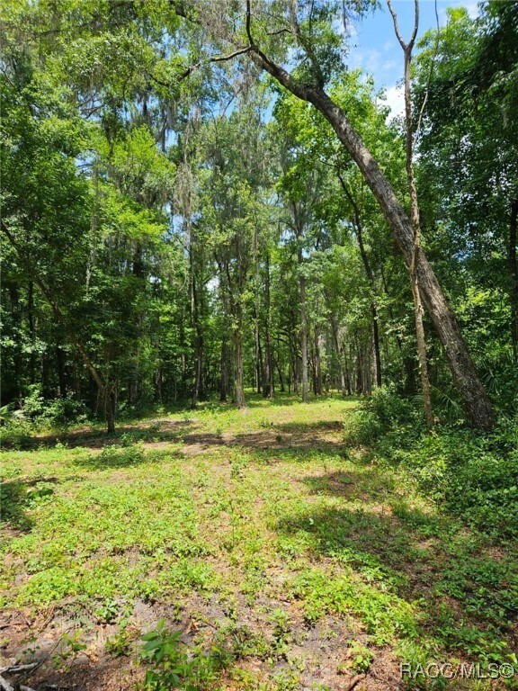 0 NW 83rd Court Rd, Ocala, FL 34482 - photo 3