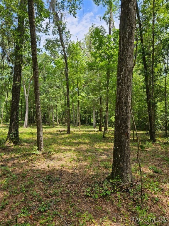 0 NW 83rd Court Rd, Ocala, FL 34482 - photo 2