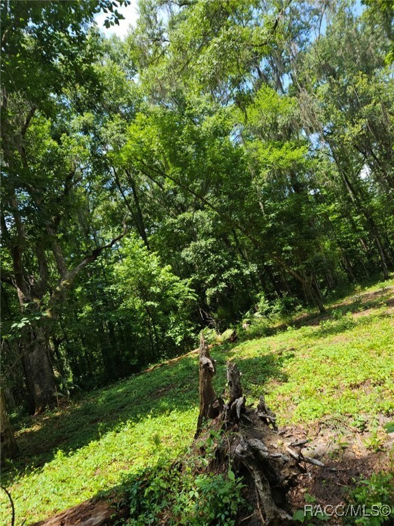 0 NW 83rd Court Rd, Ocala, FL 34482 - photo 5