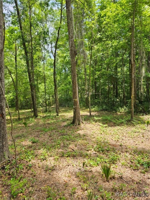 0 NW 83rd Court Rd, Ocala, FL 34482 - photo 1