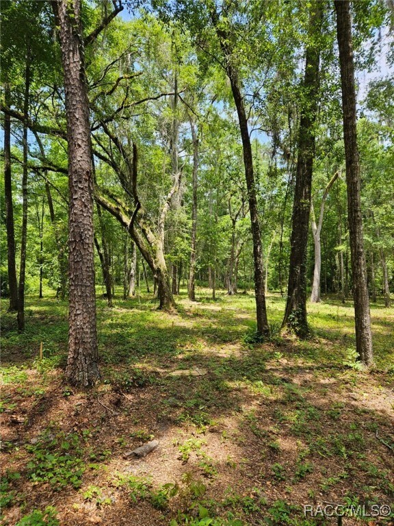 0 NW 83rd Court Rd, Ocala, FL 34482 - photo 7