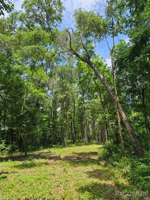 0 NW 83rd Court Rd, Ocala, FL 34482 - photo 4