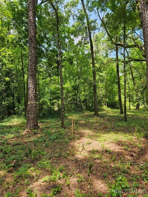 0 NW 83rd Court Rd, Ocala, FL 34482 - photo 6