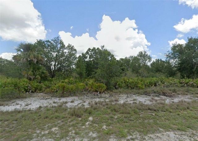 716 Tunney St, Lehigh Acres FL, 33972 land for sale