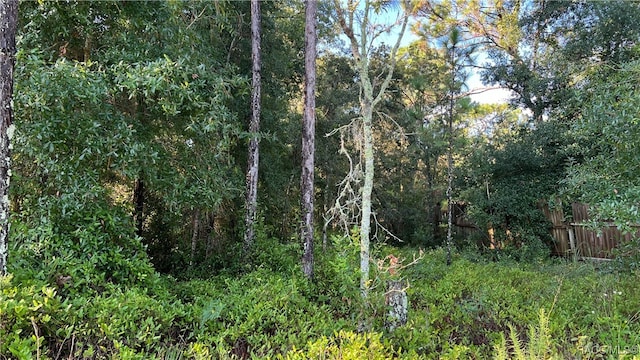 Listing photo 2 for 7022 W Homosassa Trl, Homosassa FL 34448