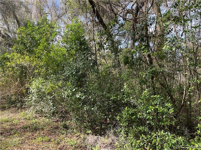 4780 S Rainbow Dr, Inverness, FL 34452 - photo 2