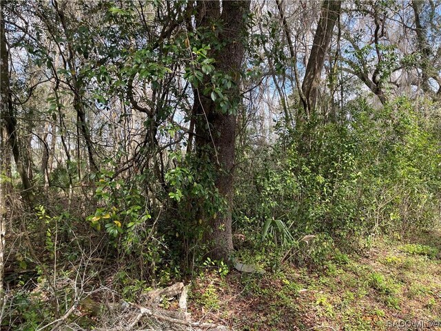 4780 S Rainbow Dr, Inverness, FL 34452 - photo 4