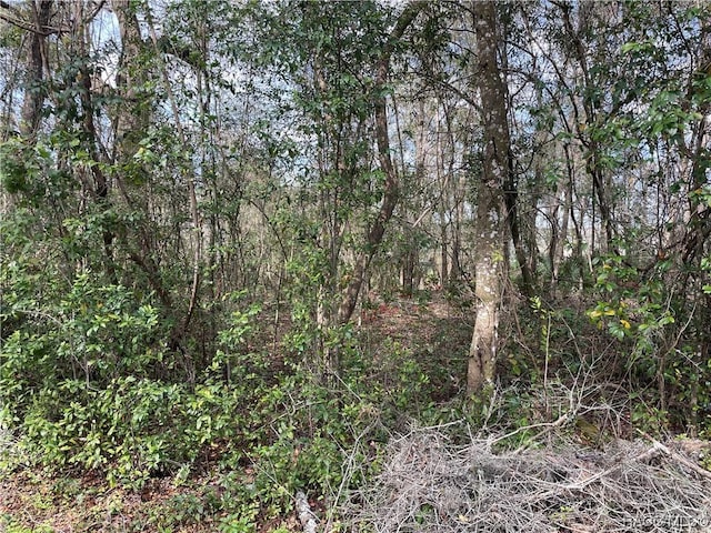 4780 S Rainbow Dr, Inverness, FL 34452 - photo 1