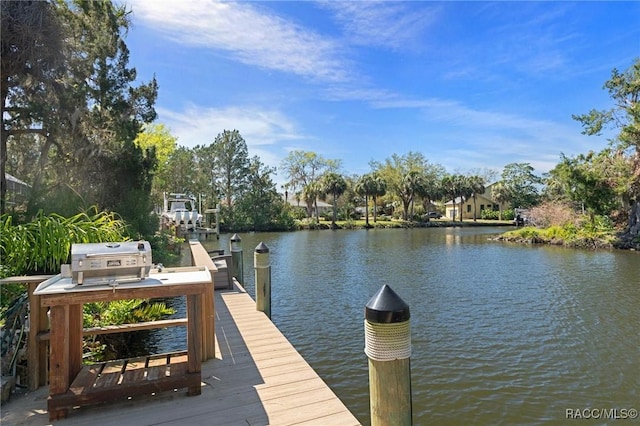 dock area featuring a water view