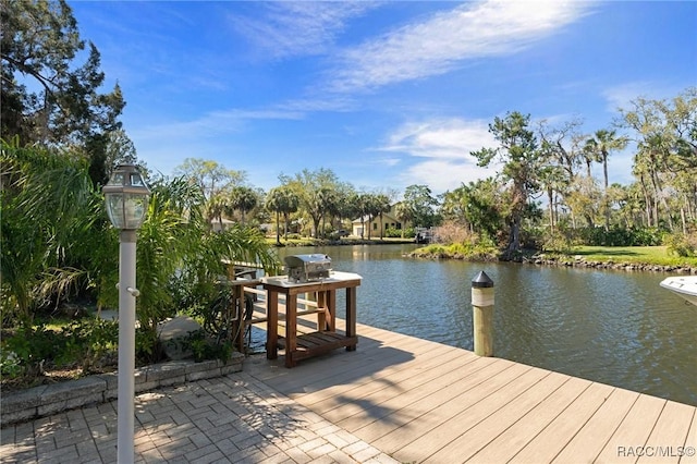 dock area with a water view