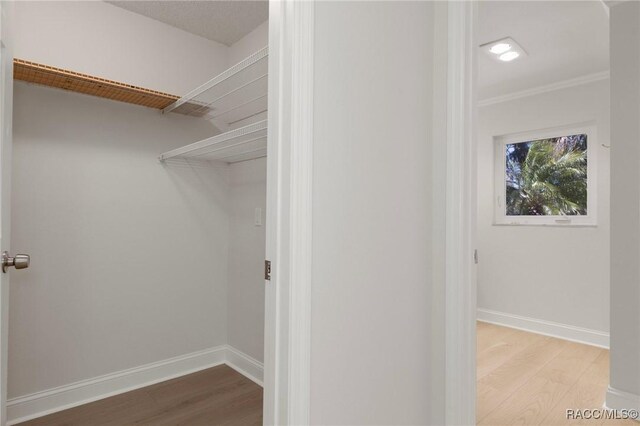 walk in closet featuring light wood-style floors