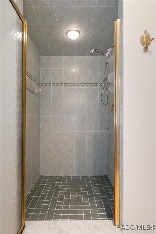 bathroom with a shower stall