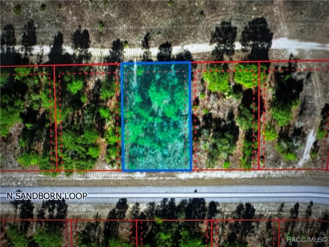 6866 N Sandborn Loop, Citrus Springs FL, 34433 land for sale