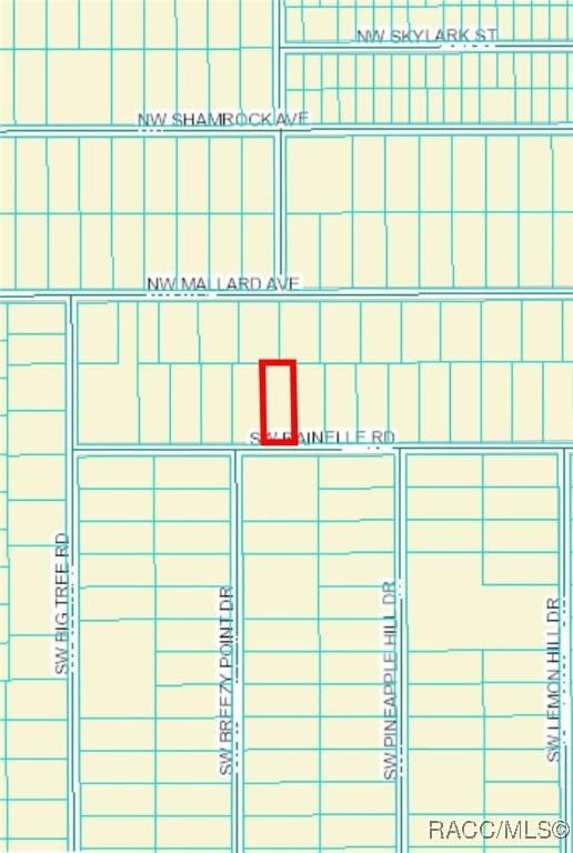 LOT20 SW Rainelle Rd, Dunnellon, FL 34431