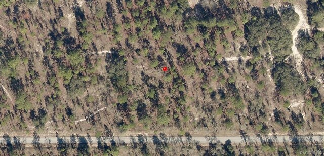 LOT33 SW Blueberry Ln, Dunnellon, FL 34431