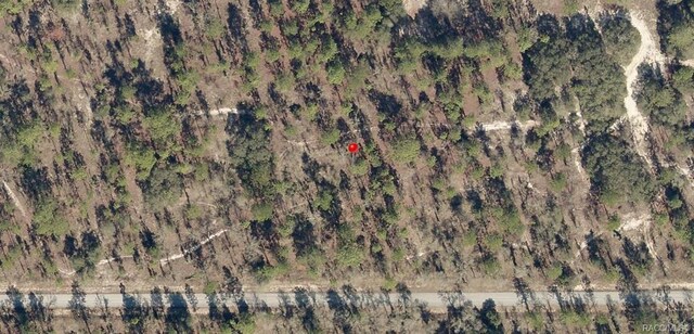 LOT33 SW Blueberry Ln, Dunnellon FL, 34431 land for sale