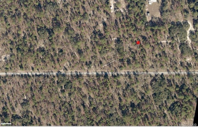 Listing photo 3 for LOT33 SW Blueberry Ln, Dunnellon FL 34431