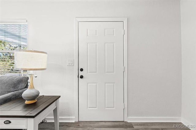 doorway to outside featuring wood-type flooring