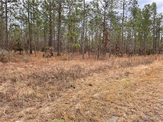 Listing photo 2 for LOT25 SE 138th Ave, Dunnellon FL 34431