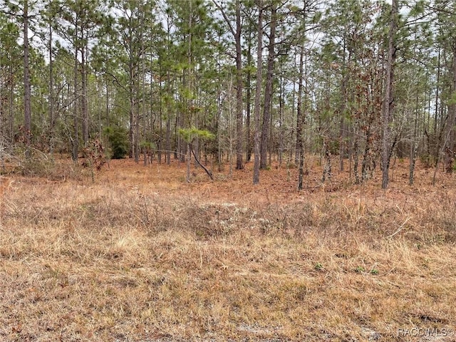 LOT25 SE 138th Ave, Dunnellon FL, 34431 land for sale