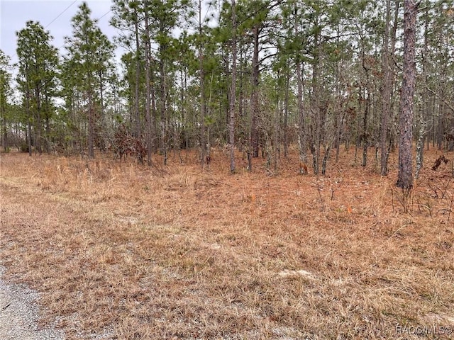 Listing photo 3 for LOT25 SE 138th Ave, Dunnellon FL 34431