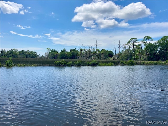 property view of water