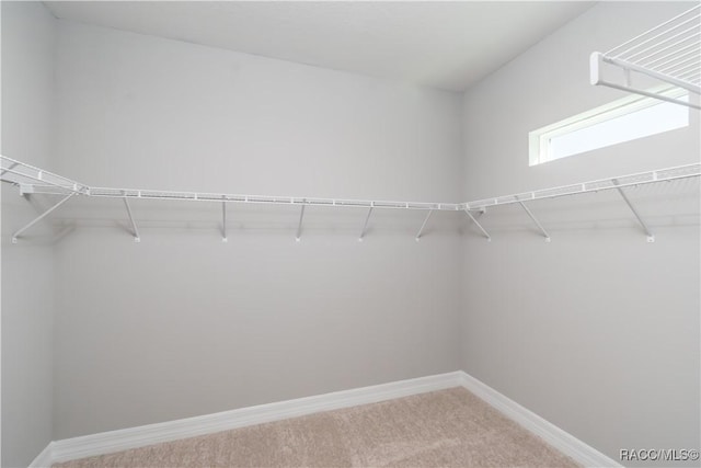 walk in closet with light carpet