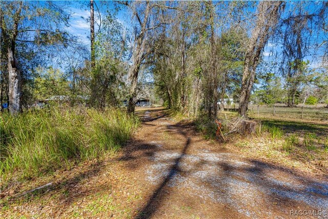 TBD NE 212 Street Rd Fl, Fort McCoy-Anthony, FL 32134 - photo 9