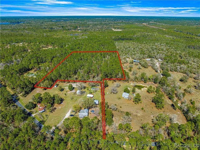 TBD NE 212 Street Rd Fl, Fort McCoy-Anthony, FL 32134 - photo 4