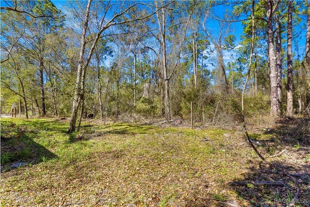 TBD NE 212 Street Rd Fl, Fort McCoy-Anthony, FL 32134 - photo 10