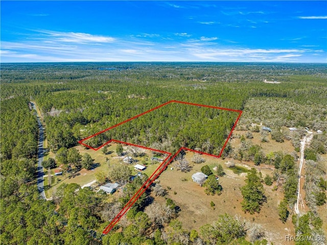 TBD NE 212 Street Rd Fl, Fort McCoy-Anthony, FL 32134 - photo 1