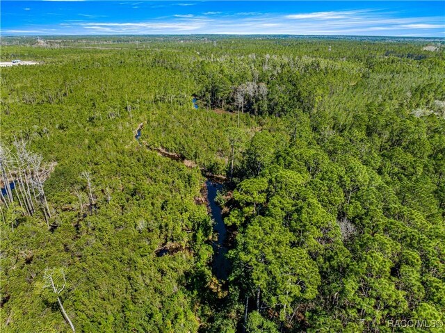 TBD NE 212 Street Rd Fl, Fort McCoy-Anthony, FL 32134 - photo 5