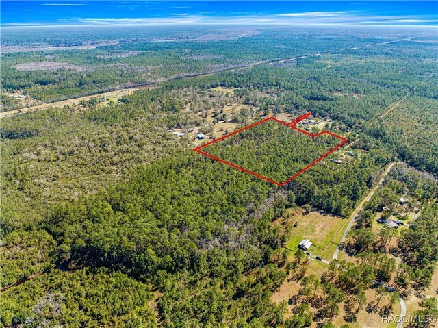 TBD NE 212 Street Rd Fl, Fort McCoy-Anthony, FL 32134 - photo 3