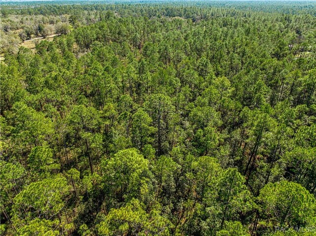 TBD NE 212 Street Rd Fl, Fort McCoy-Anthony, FL 32134 - photo 8