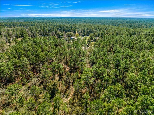 TBD NE 212 Street Rd Fl, Fort McCoy-Anthony, FL 32134 - photo 7