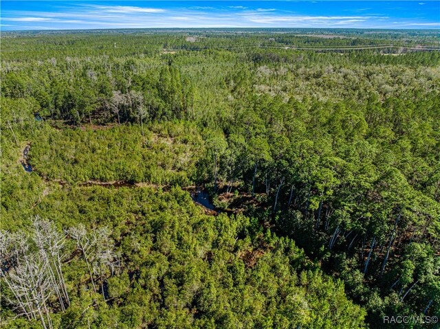 TBD NE 212 Street Rd Fl, Fort McCoy-Anthony, FL 32134 - photo 6