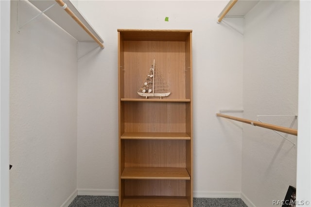 walk in closet featuring carpet flooring