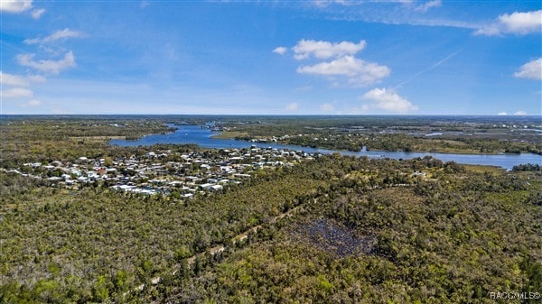 3929 N Sagomon Pt, Crystal River, FL 34428 - aerial view of a large body of water