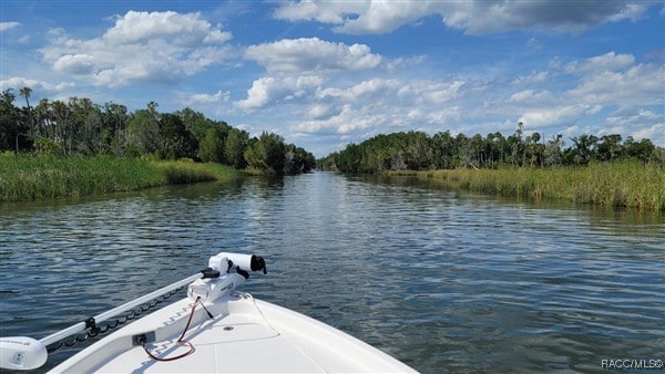 3929 N Sagomon Pt, Crystal River, FL 34428 - dock featuring a water view