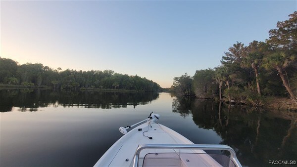 3929 N Sagomon Pt, Crystal River, FL 34428 - photo 53