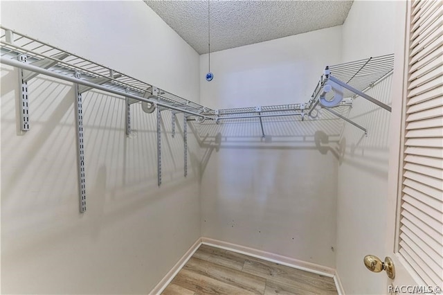 walk in closet featuring hardwood / wood-style floors