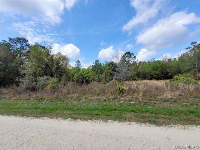 8862 N Delene Ter, Crystal River FL, 34428 land for sale