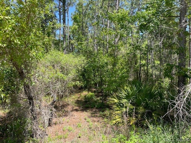 6473 W Baghdad St, Dunnellon FL, 34433 land for sale