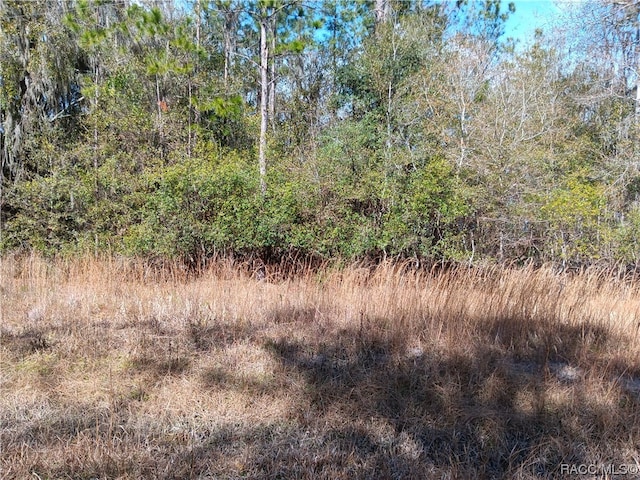 0 SW 137th St, Waldo FL, 32091 land for sale