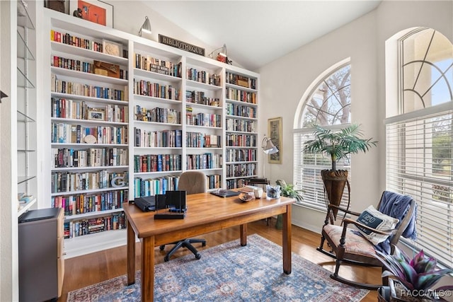 office space featuring hardwood / wood-style flooring and lofted ceiling