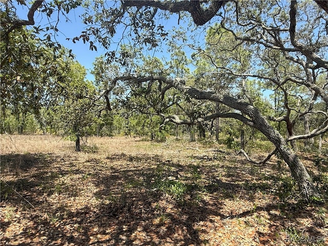 view of nature