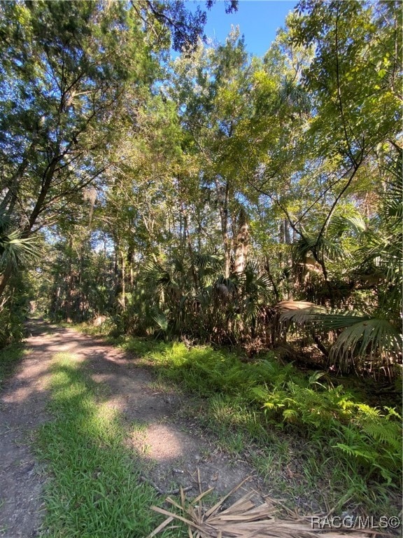 Listing photo 3 for 10140 W Pennsylvania St, Homosassa FL 34448