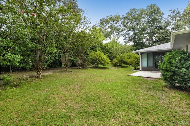 view of yard featuring a patio area