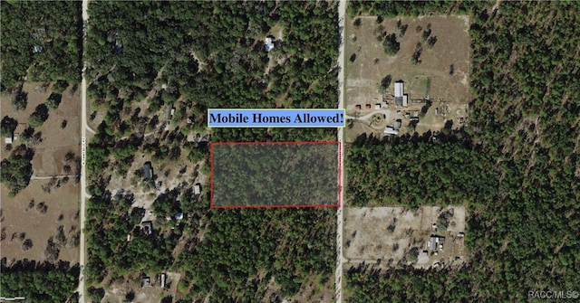 6592 N Velveteen Pt, Dunnellon FL, 34433 land for sale