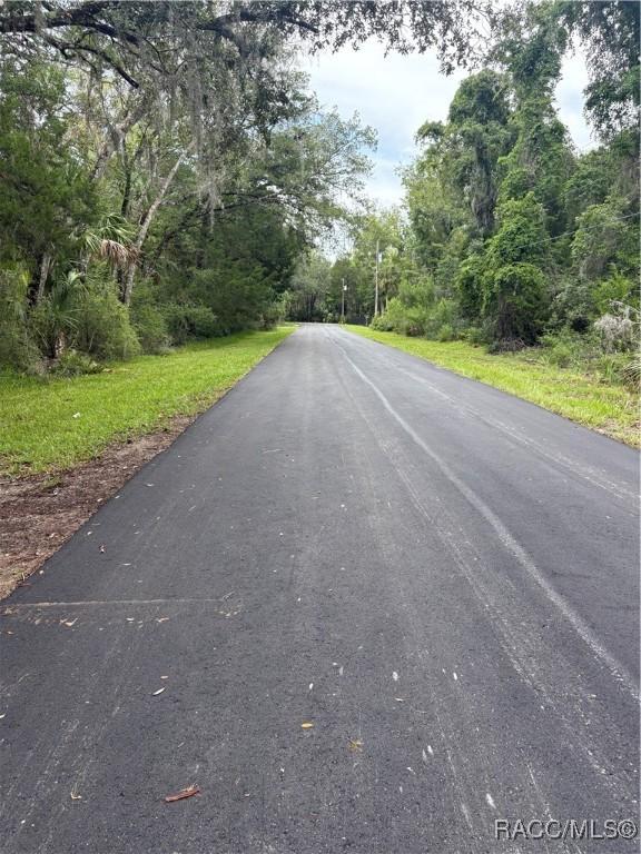 10947 W Rockhaven Ln, Homosassa, FL 34448